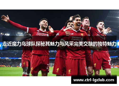 走近魔力鸟球队探秘其魅力与风采完美交融的独特魅力