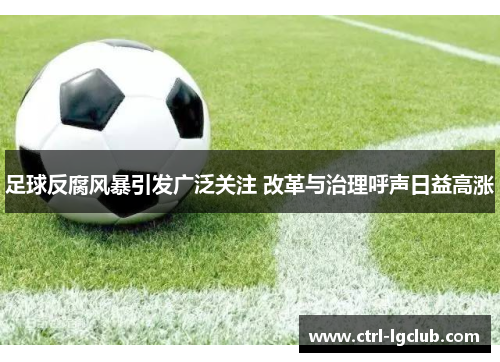 足球反腐风暴引发广泛关注 改革与治理呼声日益高涨 足球反腐风暴引发广泛关注 改革与治理呼声日益高涨