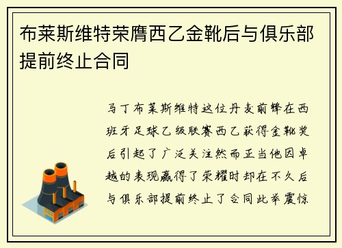 布莱斯维特荣膺西乙金靴后与俱乐部提前终止合同